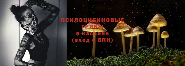 ешки Абинск