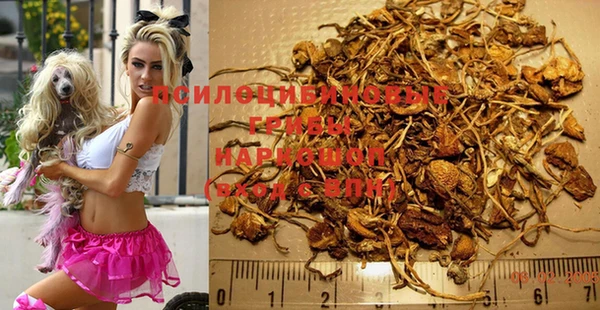 молекула духа Абдулино